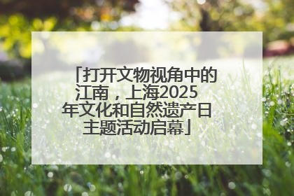 打开文物视角中的江南，上海2025年文化和自然遗产日主题活动启幕