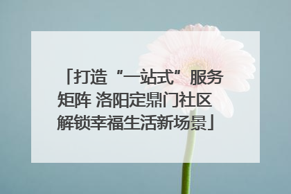 打造“一站式”服务矩阵 洛阳定鼎门社区解锁幸福生活新场景
