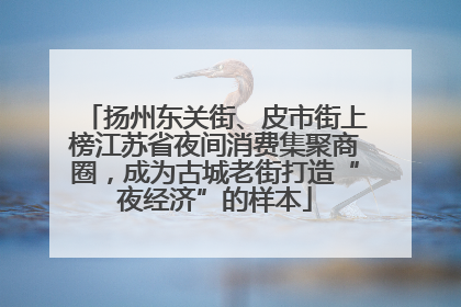 扬州东关街、皮市街上榜江苏省夜间消费集聚商圈，成为古城老街打造“夜经济”的样本