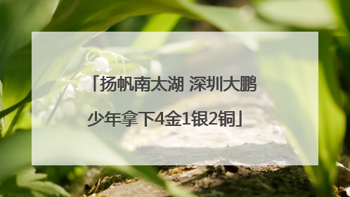 扬帆南太湖 深圳大鹏少年拿下4金1银2铜