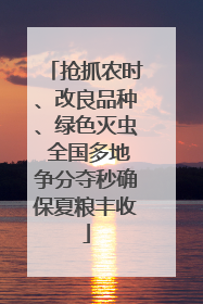 抢抓农时、改良品种、绿色灭虫 全国多地争分夺秒确保夏粮丰收