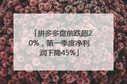 拼多多盘前跌超20%，第一季度净利润下降45%
