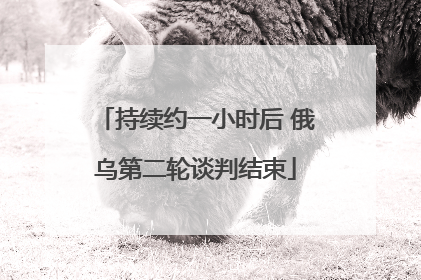 持续约一小时后 俄乌第二轮谈判结束