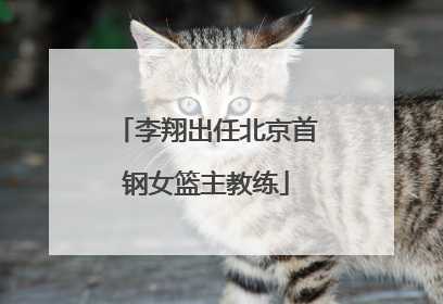 李翔出任北京首钢女篮主教练