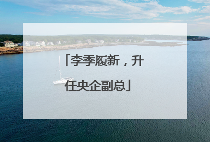 李季履新，升任央企副总