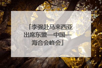 李强赴马来西亚出席东盟—中国—海合会峰会