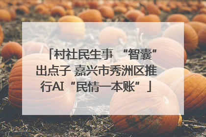 村社民生事 “智囊”出点子 嘉兴市秀洲区推行AI“民情一本账”