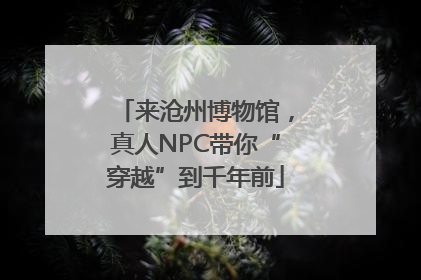 来沧州博物馆，真人NPC带你“穿越”到千年前