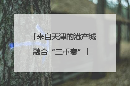 来自天津的港产城融合“三重奏”