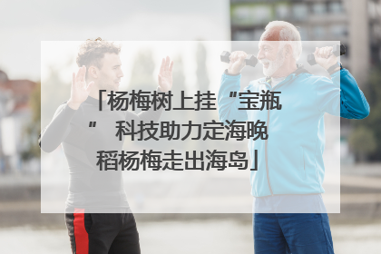 杨梅树上挂“宝瓶” 科技助力定海晚稻杨梅走出海岛