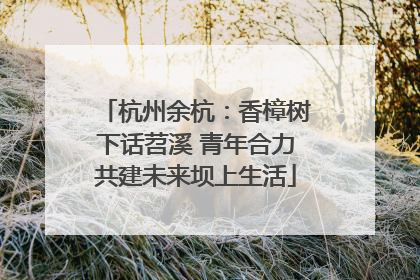 杭州余杭：香樟树下话苕溪 青年合力共建未来坝上生活