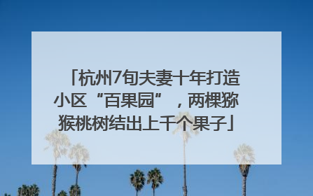 杭州7旬夫妻十年打造小区“百果园”，两棵猕猴桃树结出上千个果子