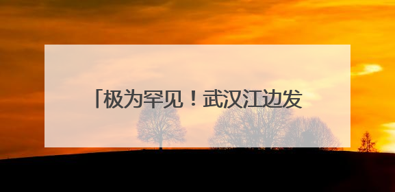 极为罕见！武汉江边发现神秘文字，专家揭秘