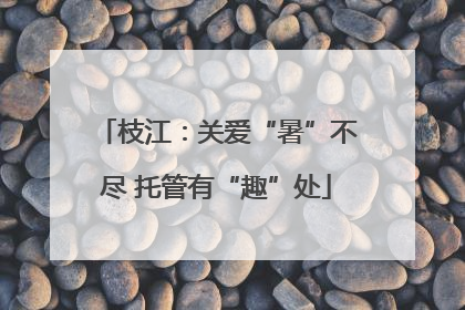 枝江：关爱“暑”不尽 托管有“趣”处