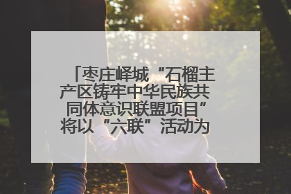 枣庄峄城“石榴主产区铸牢中华民族共同体意识联盟项目”将以“六联”活动为抓手深化品牌建设