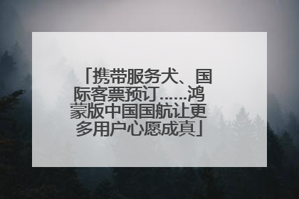 携带服务犬、国际客票预订……鸿蒙版中国国航让更多用户心愿成真