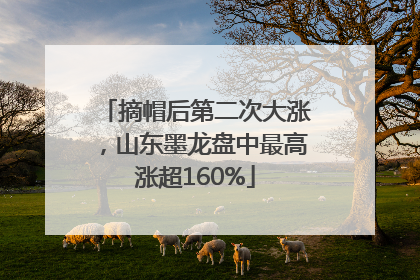 摘帽后第二次大涨，山东墨龙盘中最高涨超160%