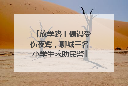 放学路上偶遇受伤夜鹭，聊城三名小学生求助民警