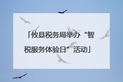 攸县税务局举办“智税服务体验日”活动