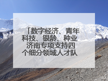 数字经济、青年科技、银龄、种业 济南专项支持四个细分领域人才队伍建设