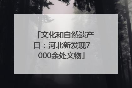 文化和自然遗产日：河北新发现7000余处文物