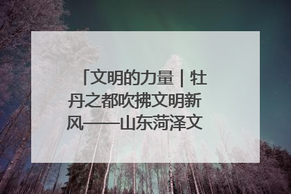 文明的力量｜牡丹之都吹拂文明新风——山东菏泽文明创建一线见闻