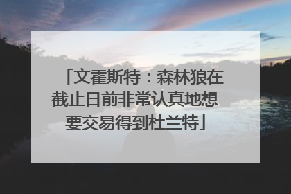 文霍斯特：森林狼在截止日前非常认真地想要交易得到杜兰特