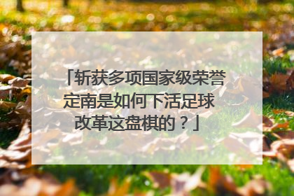 斩获多项国家级荣誉 定南是如何下活足球改革这盘棋的？