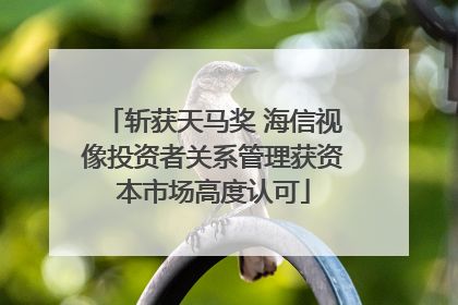 斩获天马奖 海信视像投资者关系管理获资本市场高度认可