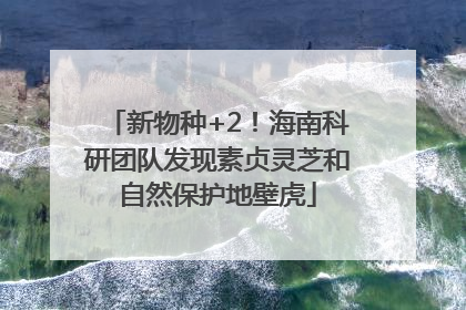 新物种+2！海南科研团队发现素贞灵芝和自然保护地壁虎
