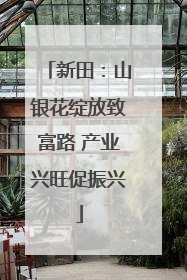 新田：山银花绽放致富路 产业兴旺促振兴