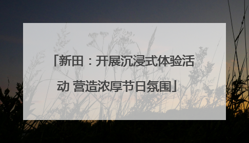 新田：开展沉浸式体验活动 营造浓厚节日氛围