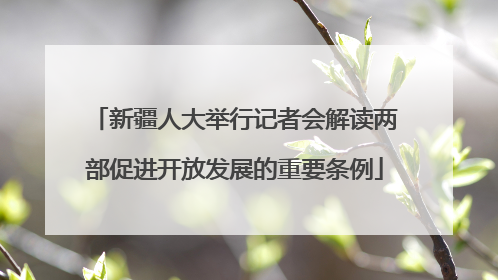 新疆人大举行记者会解读两部促进开放发展的重要条例