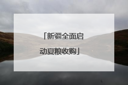 新疆全面启动夏粮收购