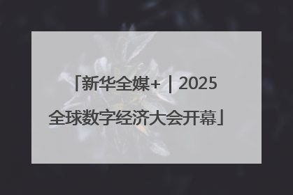 新华全媒+｜2025全球数字经济大会开幕
