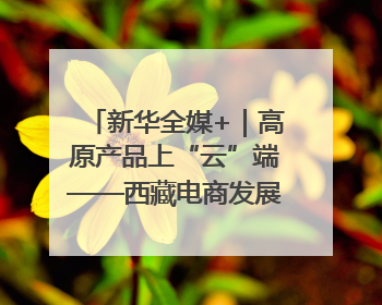 新华全媒+｜高原产品上“云”端——西藏电商发展一线观察