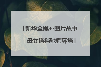 新华全媒+·图片故事｜母女搭档驰骋环塔