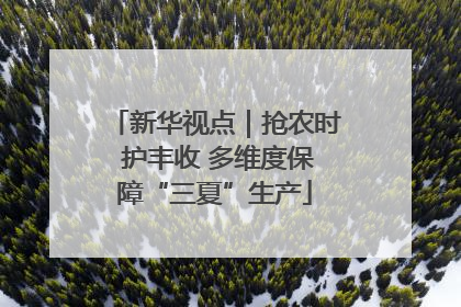 新华视点｜抢农时 护丰收 多维度保障“三夏”生产