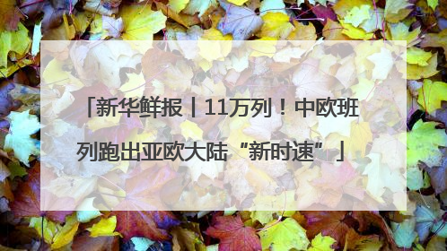 新华鲜报丨11万列！中欧班列跑出亚欧大陆“新时速”
