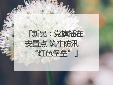 新晃：党旗插在安置点 筑牢防汛“红色堡垒”