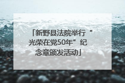 新野县法院举行“光荣在党50年”纪念章颁发活动