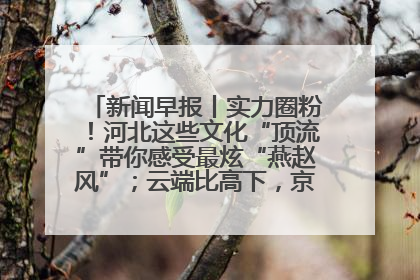 新闻早报丨实力圈粉！河北这些文化“顶流”带你感受最炫“燕赵风”；云端比高下，京津冀风筝高手“花式炫技”>>