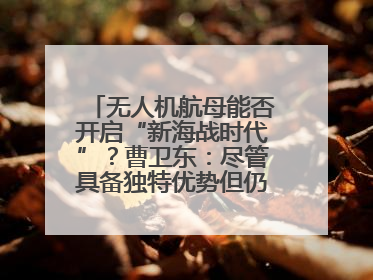无人机航母能否开启“新海战时代”？曹卫东：尽管具备独特优势但仍无法与传统航母相提并论
