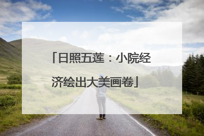日照五莲：小院经济绘出大美画卷