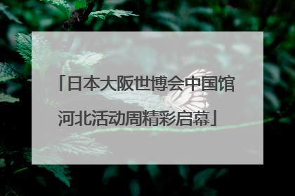 日本大阪世博会中国馆河北活动周精彩启幕
