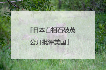 日本首相石破茂公开批评美国