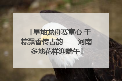 旱地龙舟赛童心 千粽飘香传古韵——河南多地花样迎端午