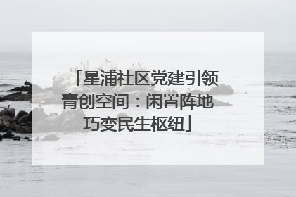 星浦社区党建引领青创空间：闲置阵地巧变民生枢纽