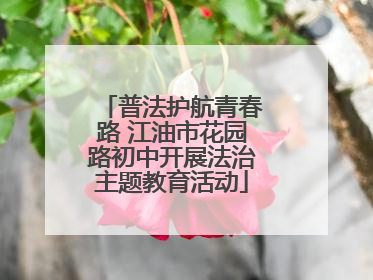 普法护航青春路 江油市花园路初中开展法治主题教育活动