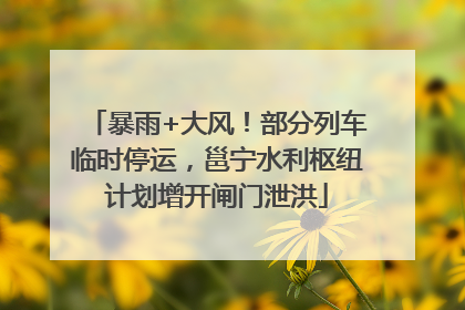 暴雨+大风！部分列车临时停运，邕宁水利枢纽计划增开闸门泄洪